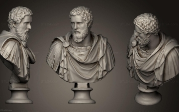 Didius Julianus: The Emperor Who Bought the Roman Empire image blog section